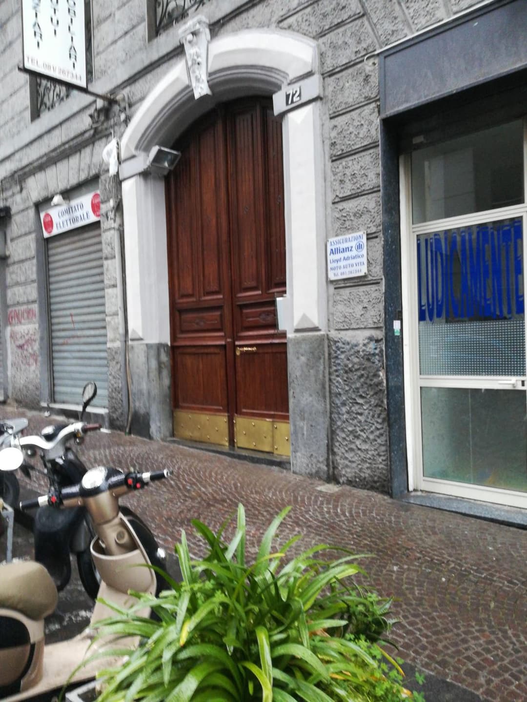 ViVi House — photo 1 of 1