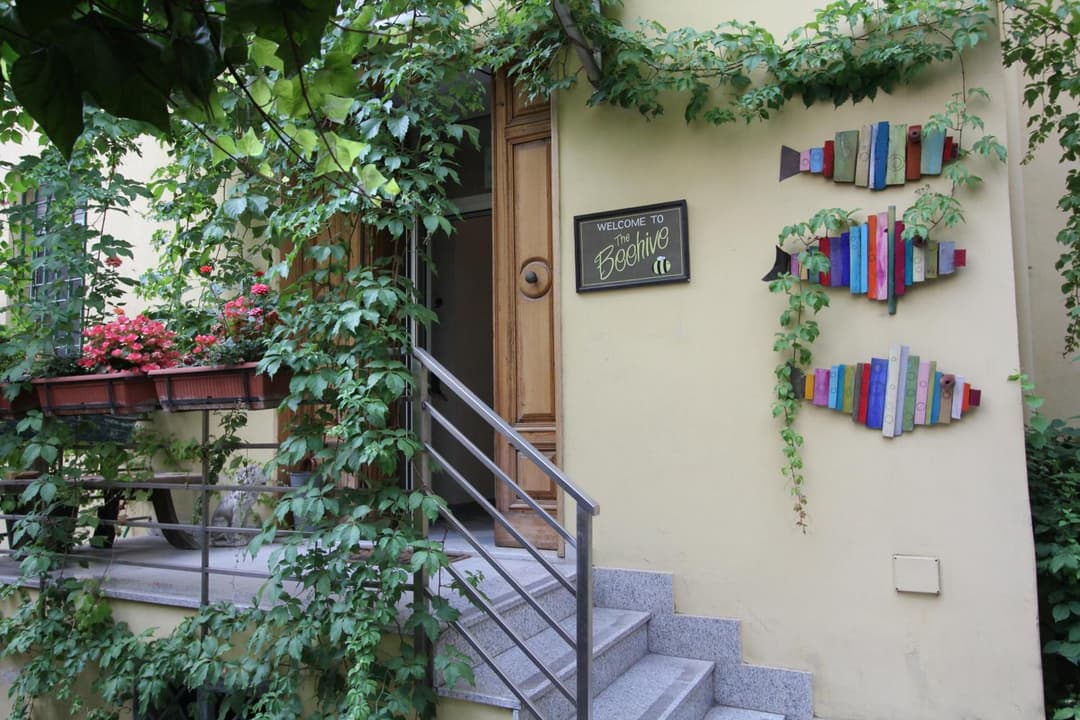 The Beehive Hostel — photo 1 of 1