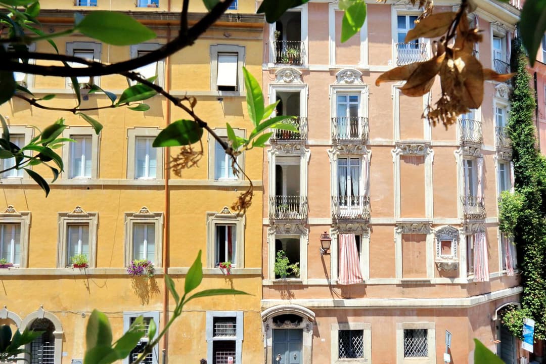 Restart Zingari Rome — photo 1 of 1