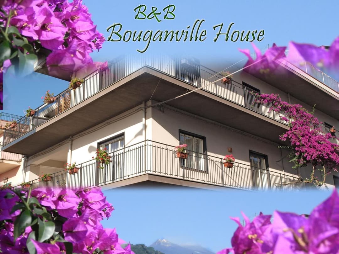 Bouganville House — photo 1 of 1
