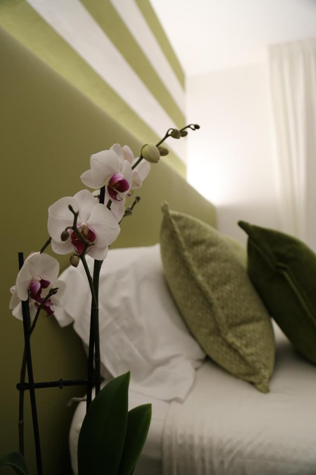 Casa Ercoli BOITO — photo 1 of 1
