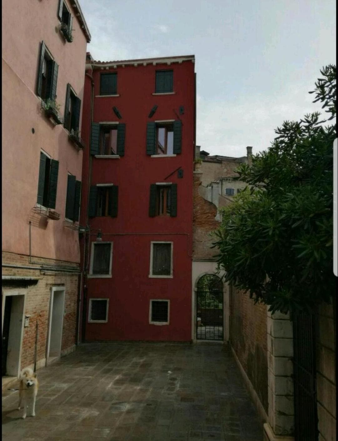homesweethome venice — photo 1 of 1