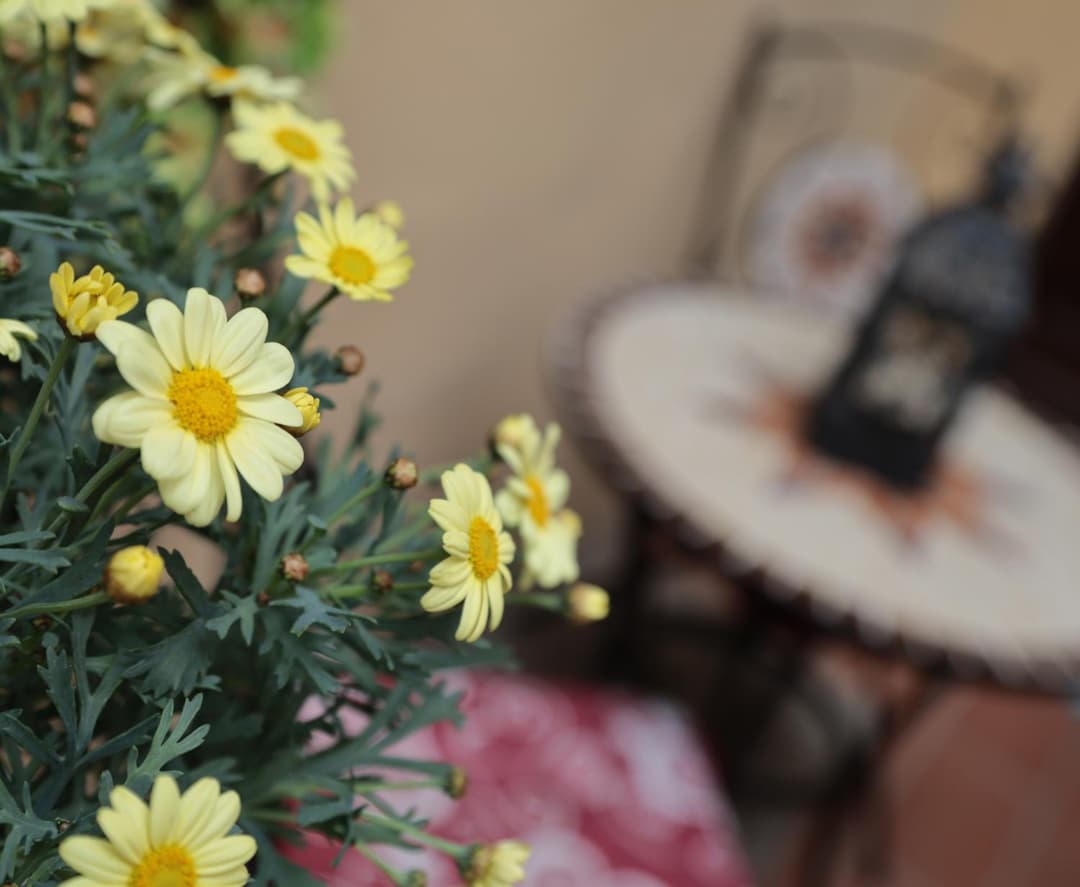 Casa Jessica — photo 1 of 1