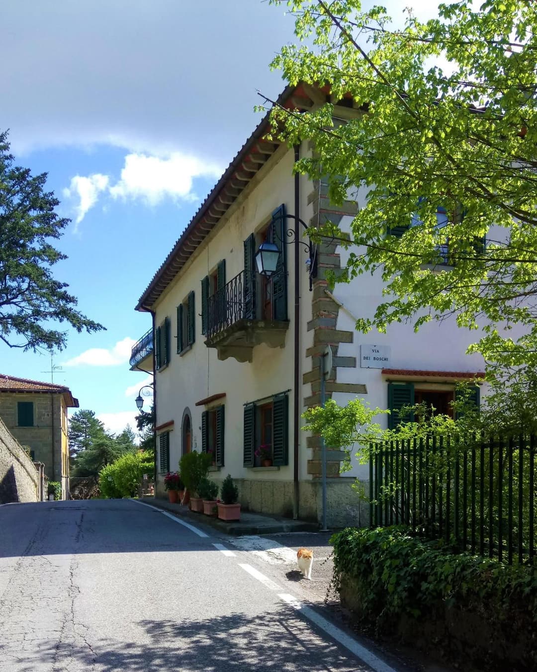 Casa Bartolacci Charme in Bivigliano (Near Mugello and Florence) — photo 1 of 1
