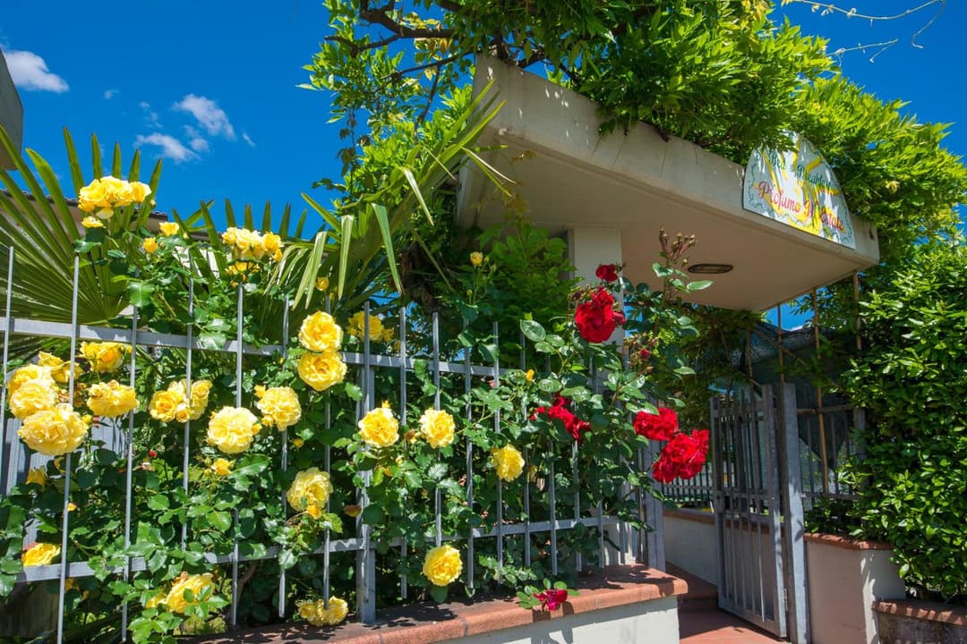 Bed & Breakfast Profumo D'Estate — photo 1 of 1