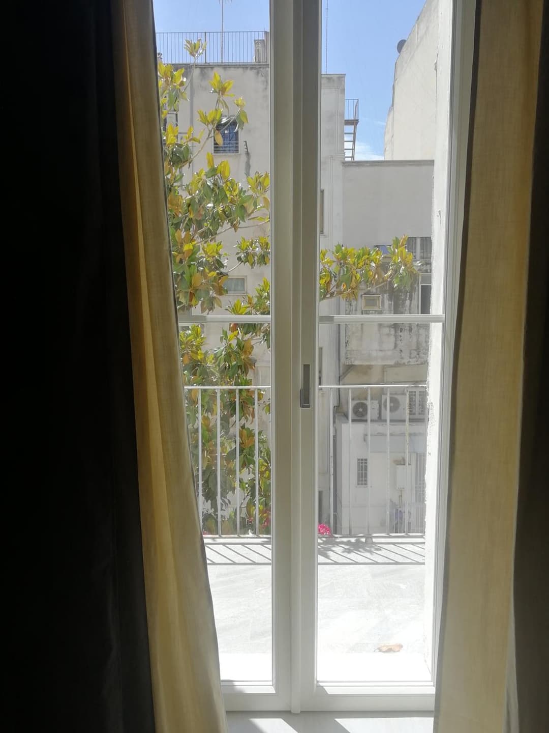 Gatto Bianco Duchessa — photo 1 of 1