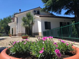 B&B Zac House