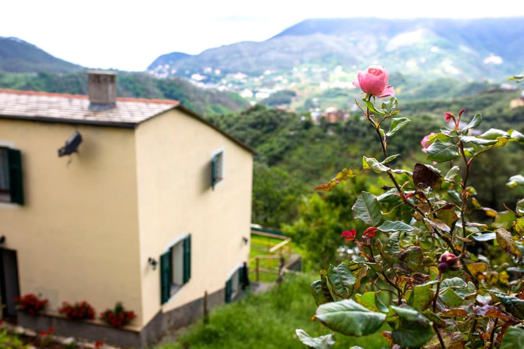 Casa Vacanze Tra Le Mura — photo 1 of 115