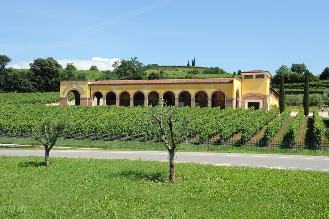 Monte Tondo Winery — photo 1 of 45