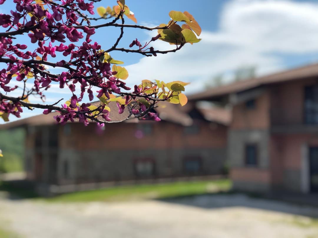 Hotel Pietrapanna — photo 1 of 1