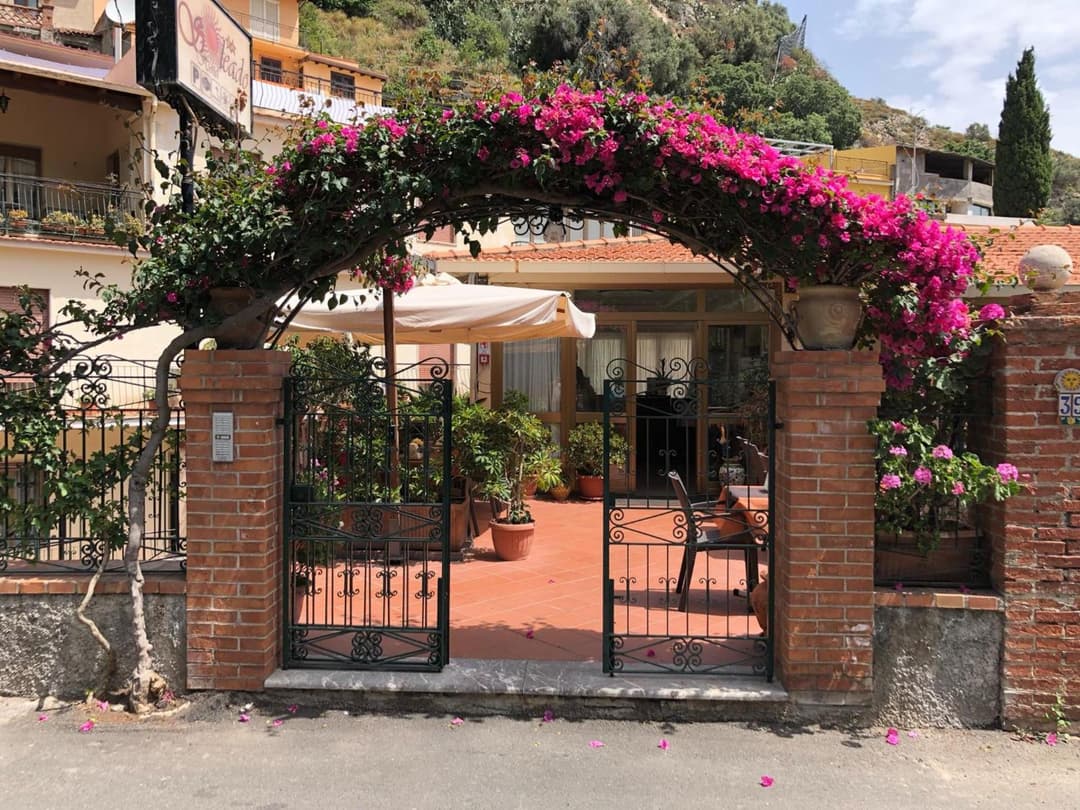 Hotel Soleado — photo 1 of 1