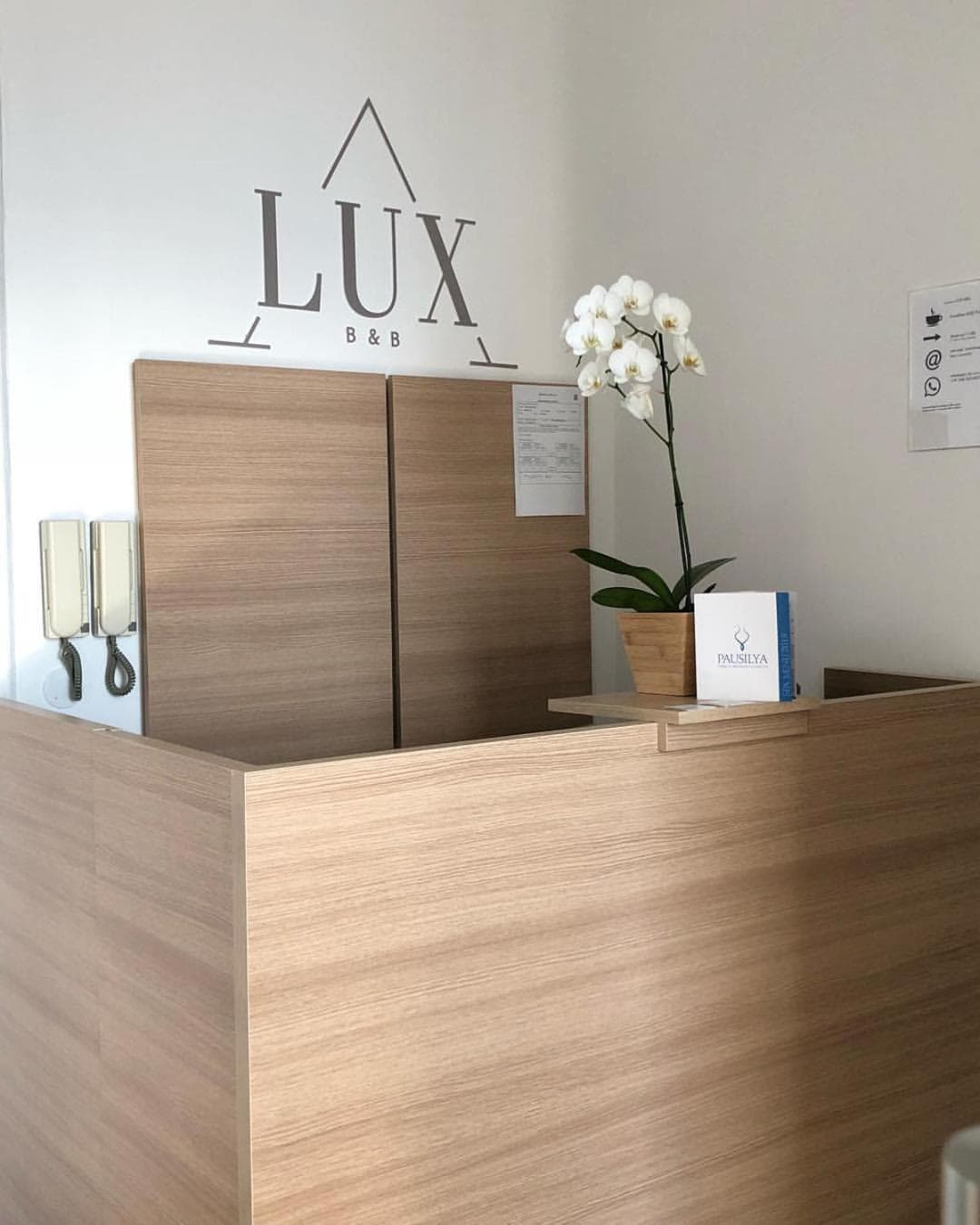 Lux — photo 1 of 1