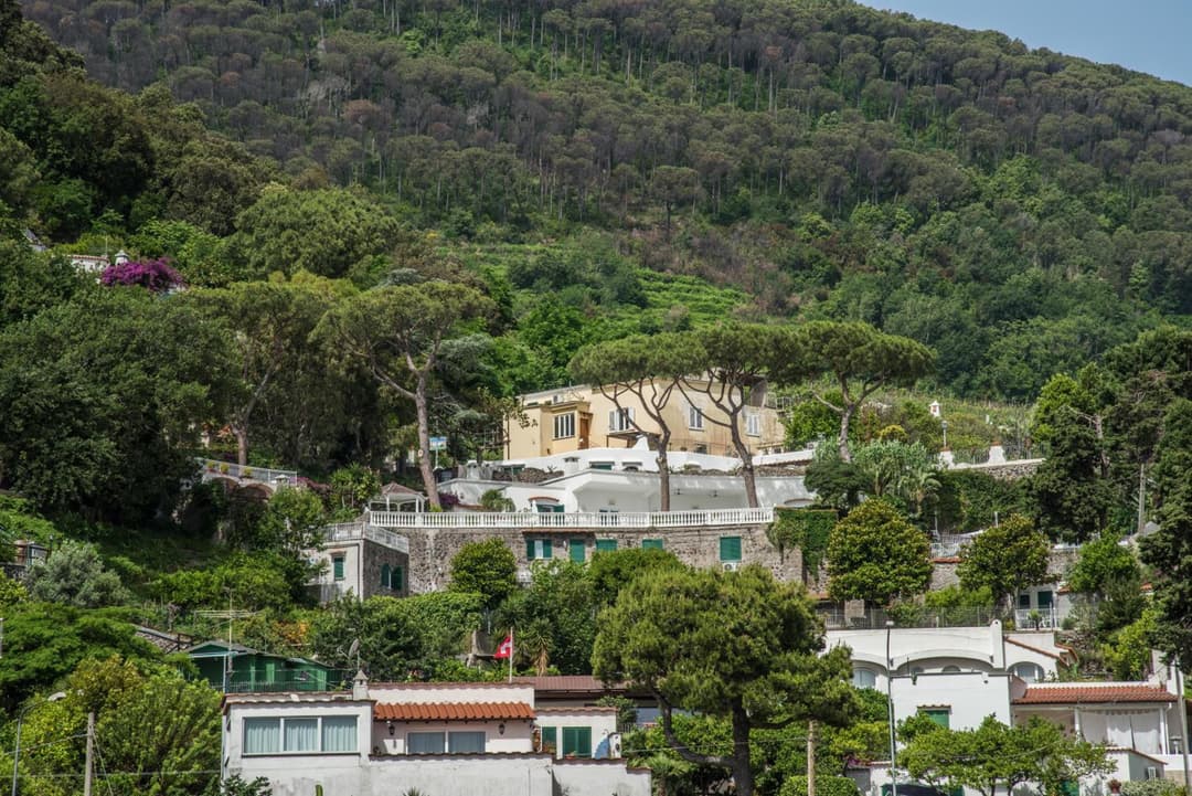 Ischia Dream Visions — photo 1 of 1