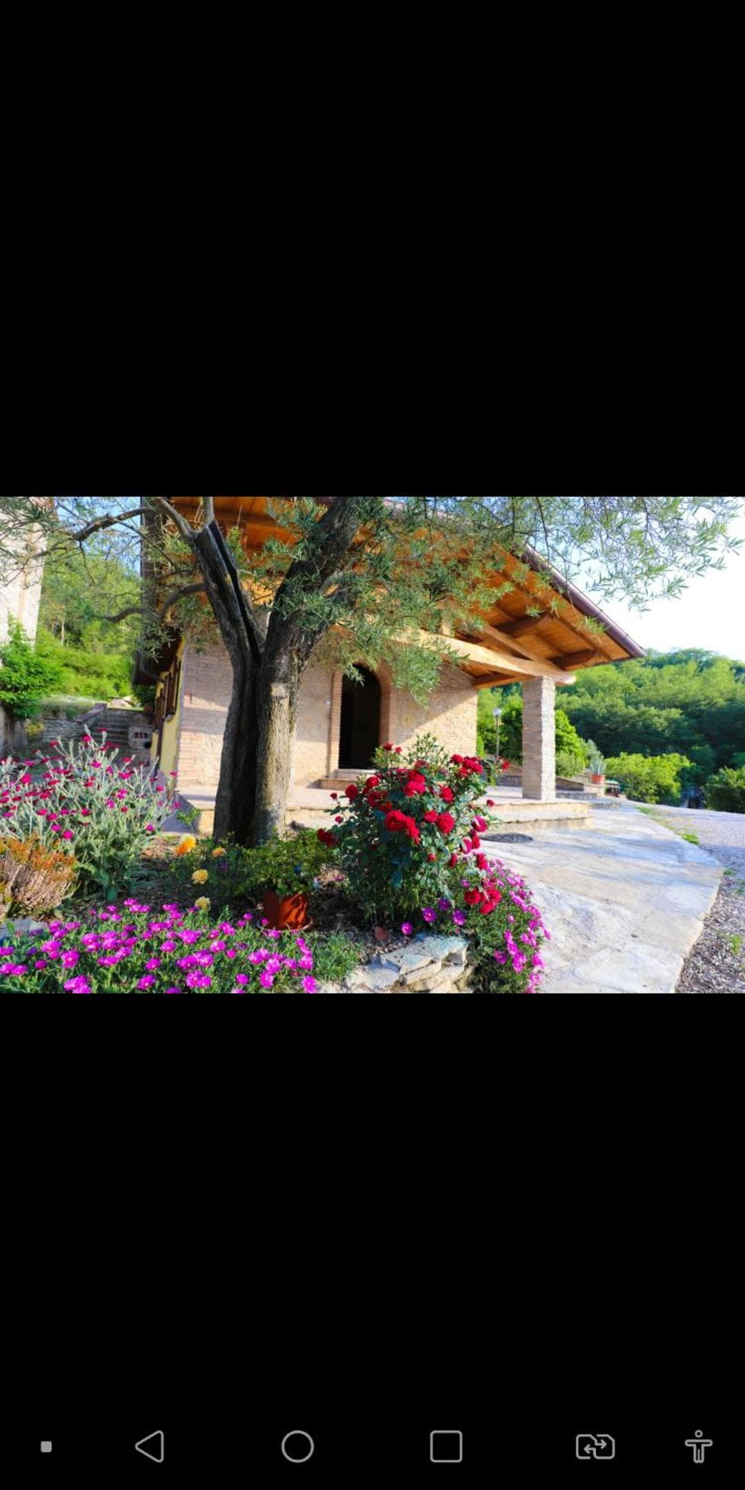 Agriturismo la Tana — photo 1 of 1