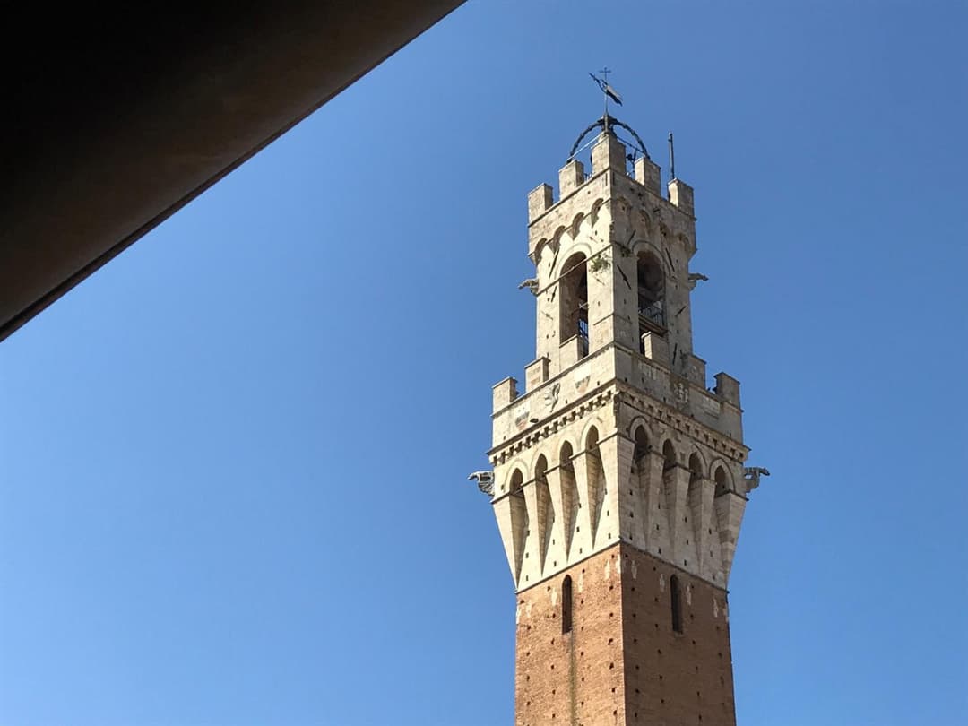 THE BLUE LODGE-cozy flat close to Piazza del Campo — photo 1 of 1