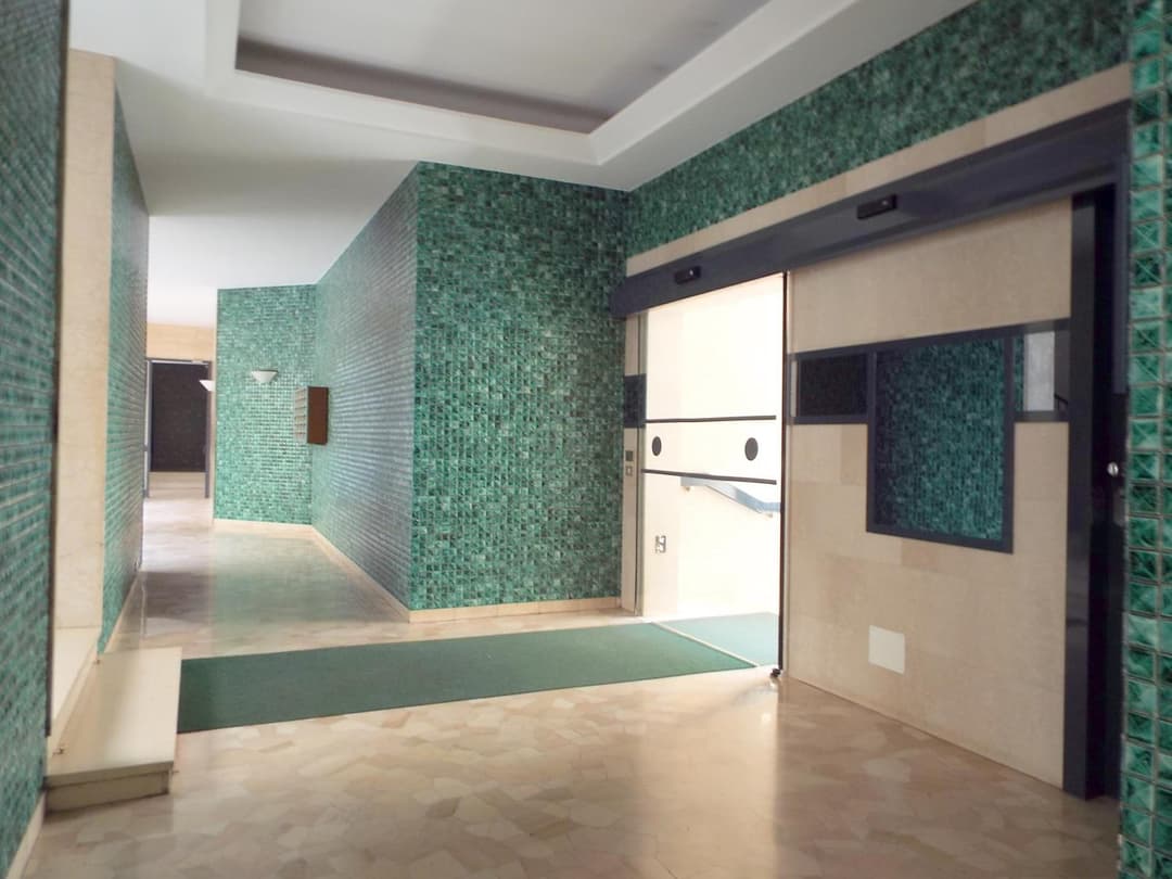 Lacaralele Apartment — photo 1 of 1