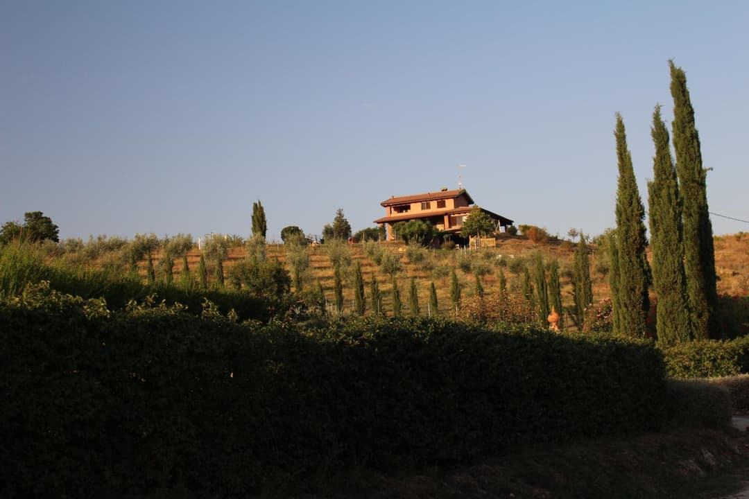 Maremma che vista! — photo 1 of 1