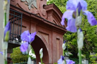 Villa Dacia bed bed and breakfast and Home Restaurant