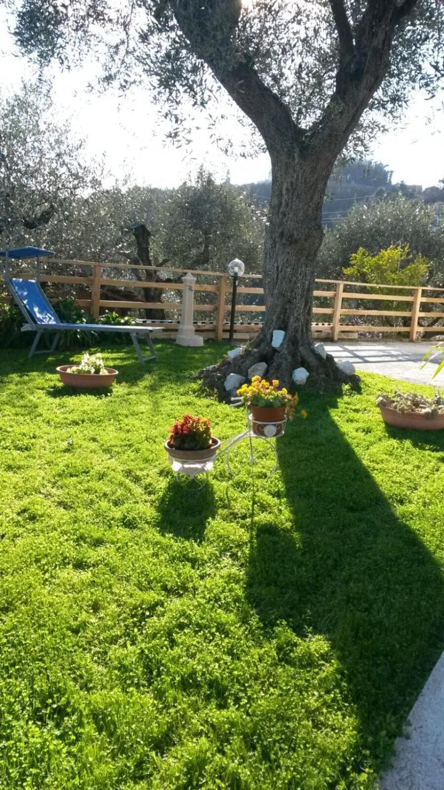 casetta del nonno bis — photo 1 of 15