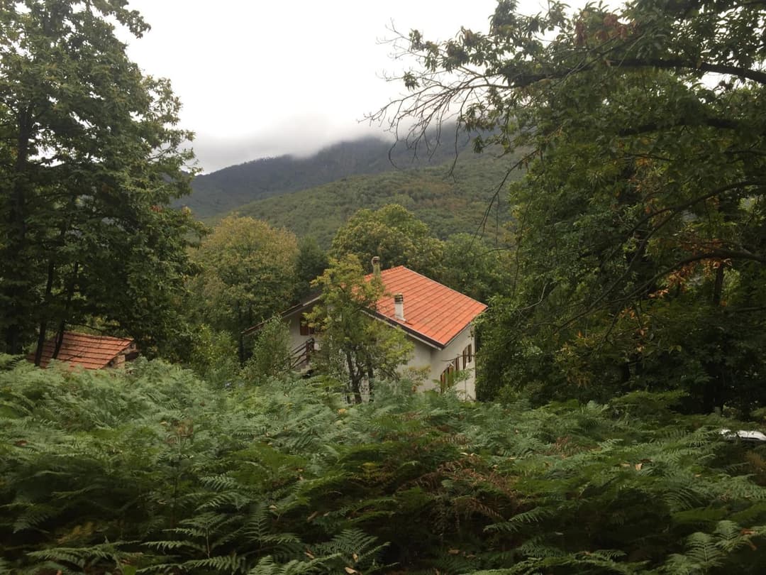 Casa nel bosco — photo 1 of 61