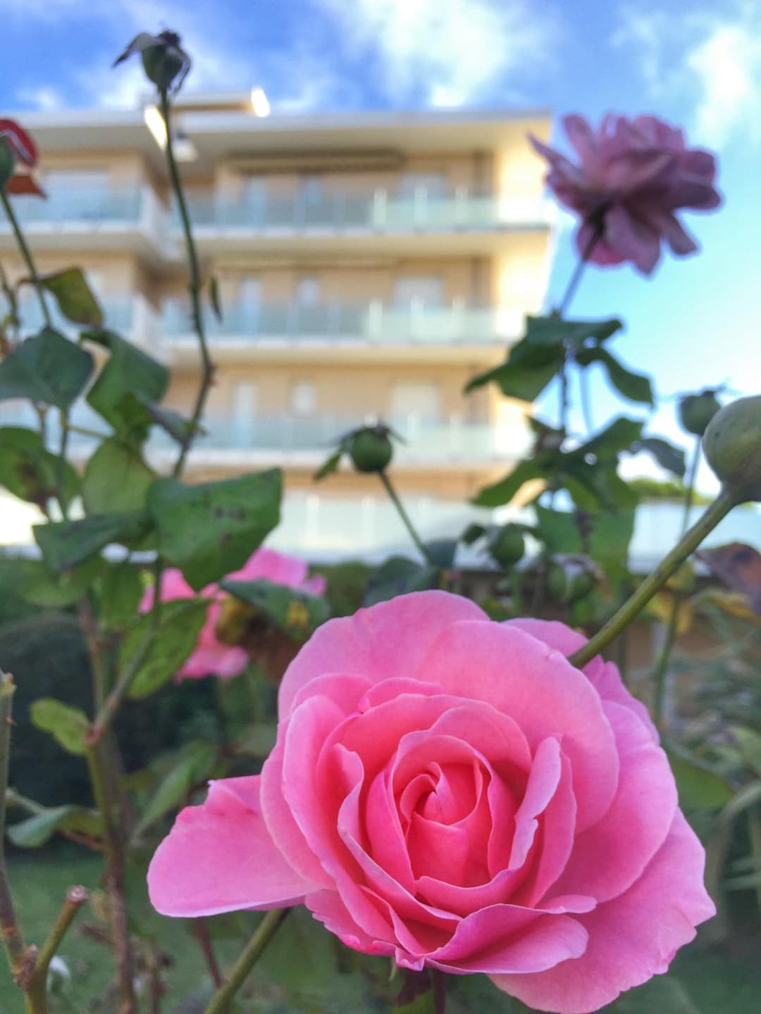 Emozione Marina - appartamento fronte mare — photo 1 of 1