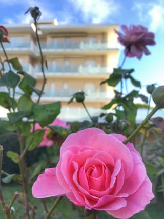 Emozione Marina - appartamento fronte mare