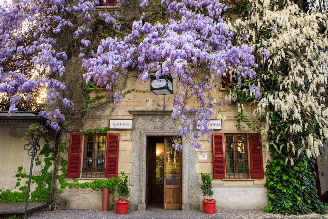 Albergo Ristorante Madonnina — photo 1 of 1