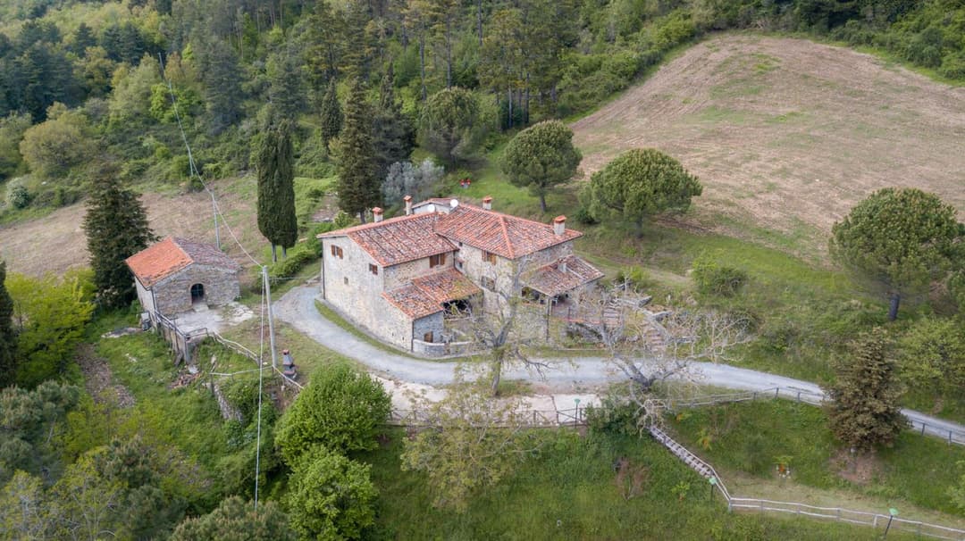 Fattoria di Cintoia — photo 1 of 1