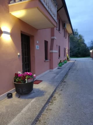 Quo Vadis Qui Vieni