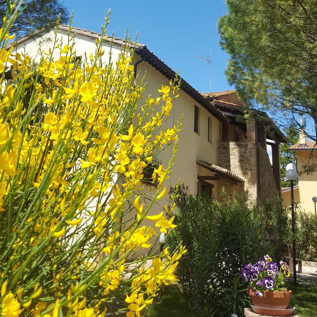 Agriturismo La Ginestrella — photo 1 of 1