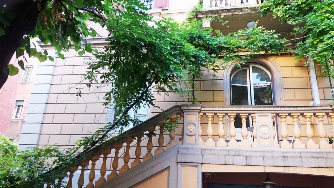 Tilia — photo 1 of 80