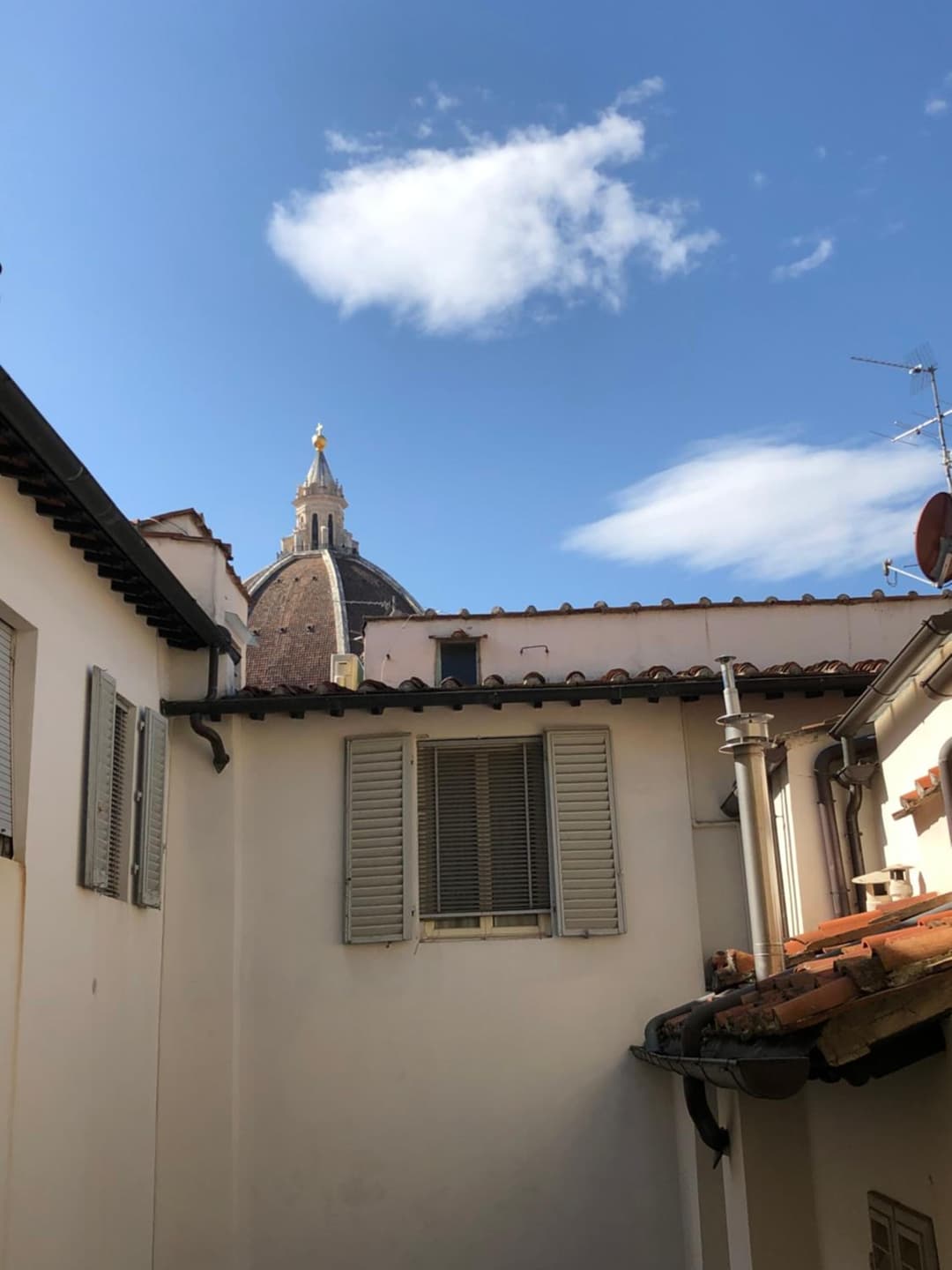 3 Perle all'Accademia Apartments — photo 1 of 1