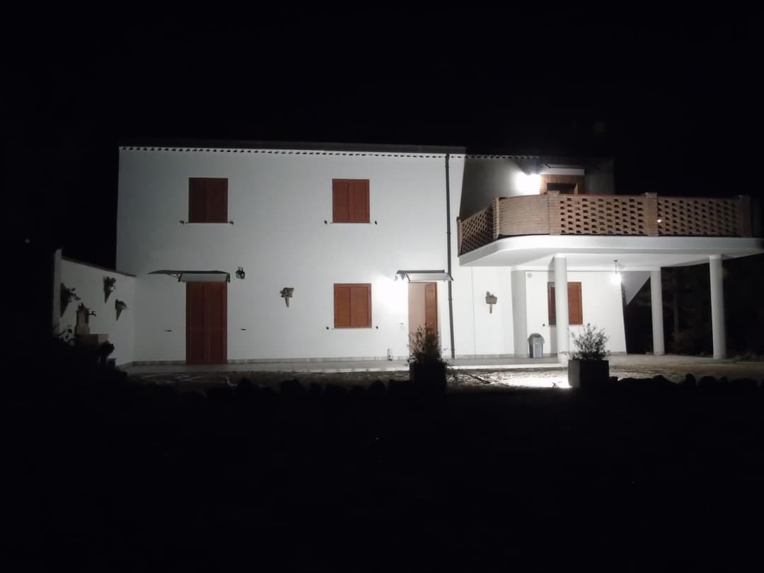il pettirosso — photo 1 of 1