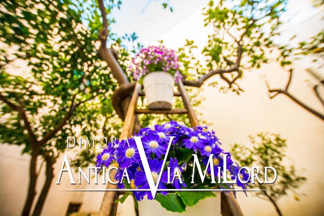 Dimora Antica Via MiLord — photo 1 of 1
