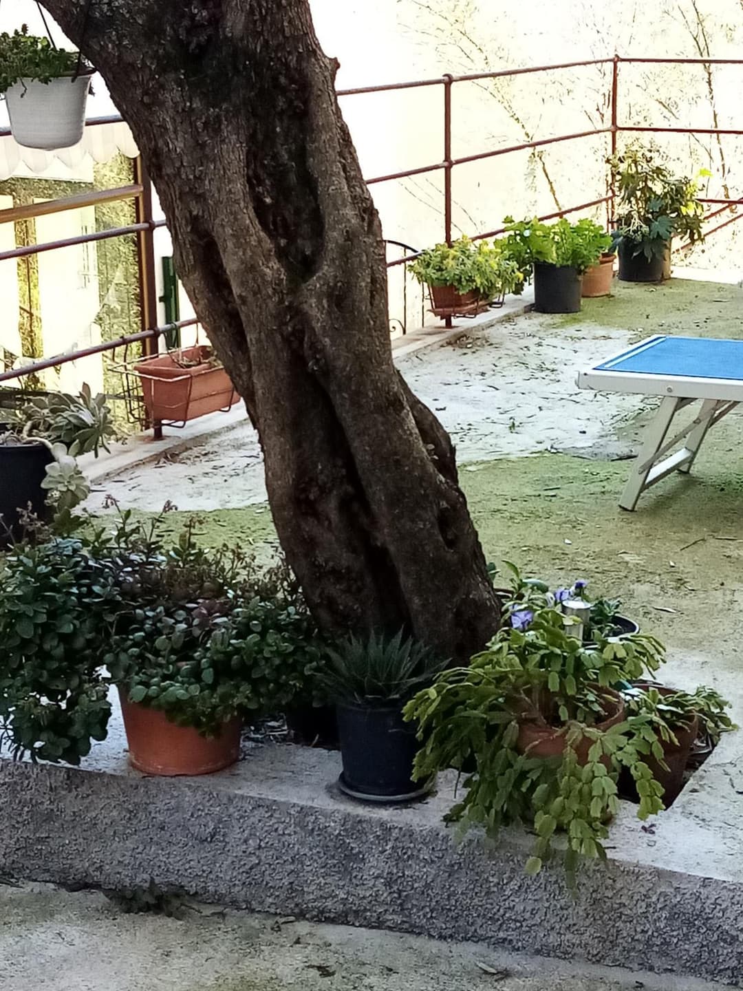 Casa dell'ulivo — photo 1 of 1