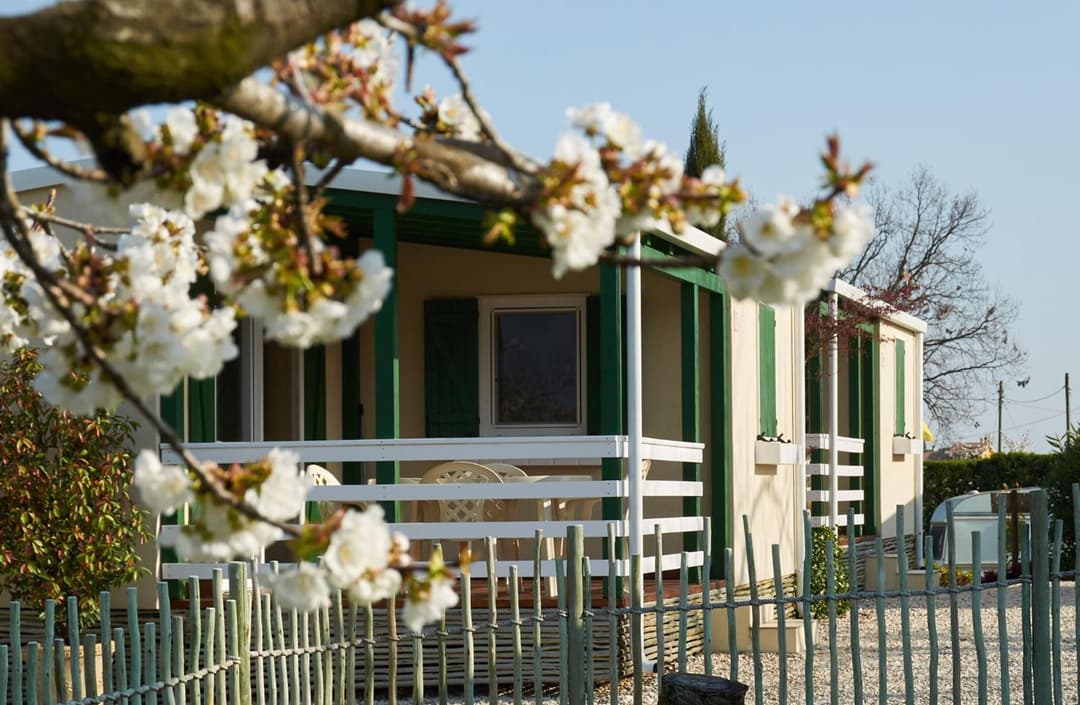 Agriturismo & Agricamping Serena — photo 1 of 1