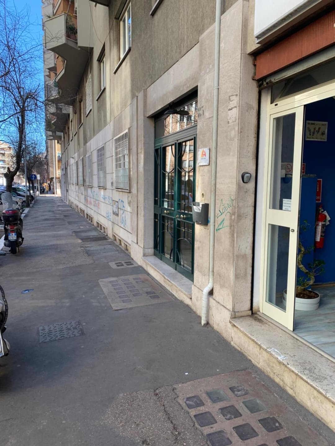 Home Vatican Star — photo 1 of 1