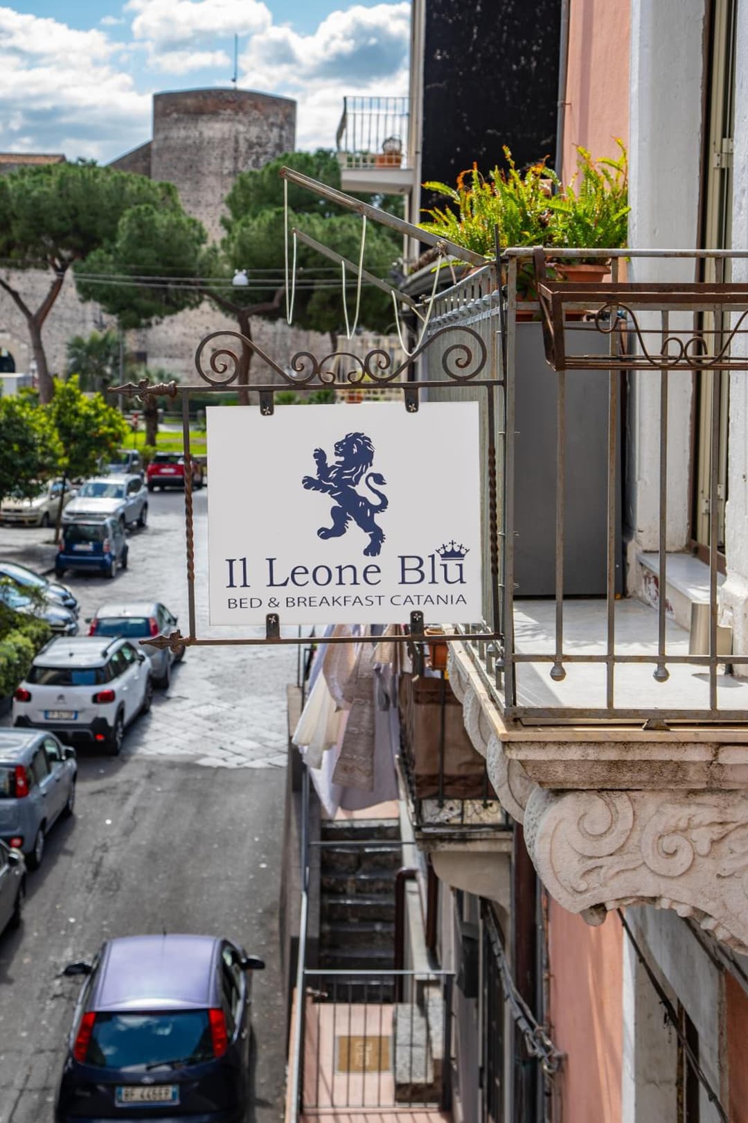 Il Leone Blu — photo 1 of 1