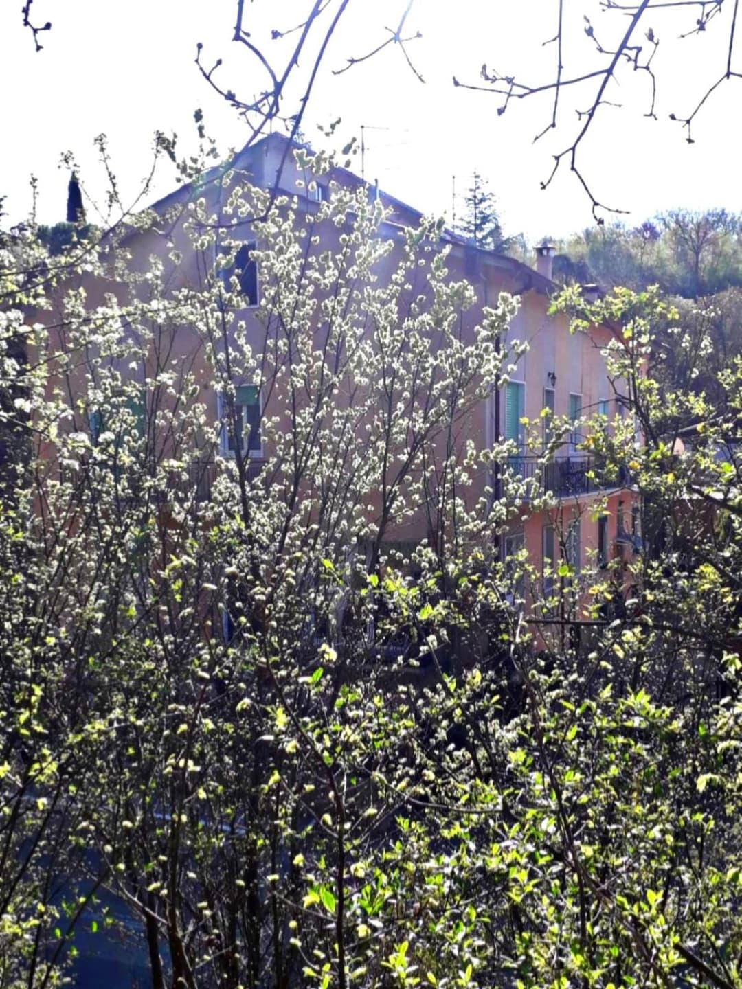Le Giare House — photo 1 of 1