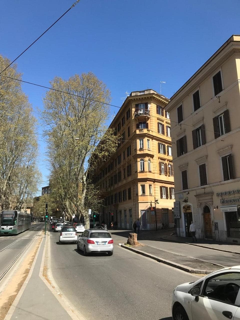 Paola A Trastevere — photo 1 of 1