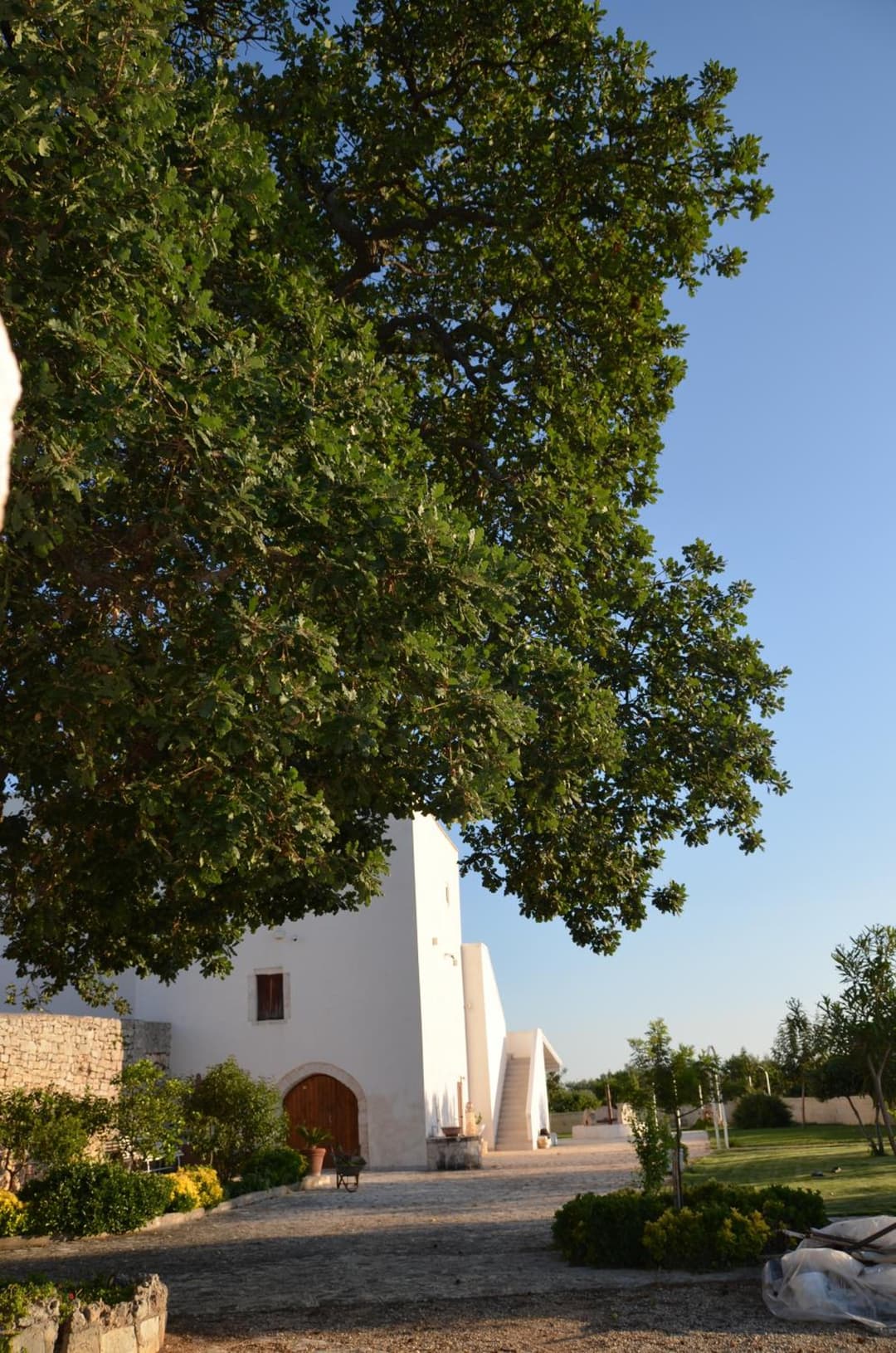 Masseria Poli Country House — photo 1 of 1