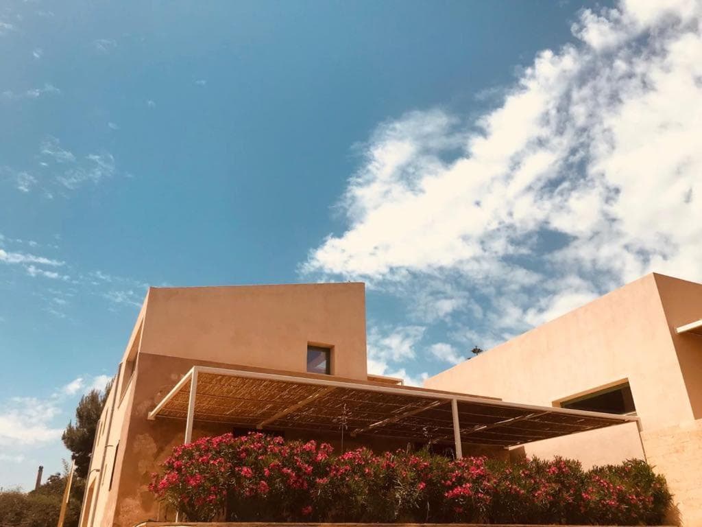 Case Graffeo — photo 1 of 1