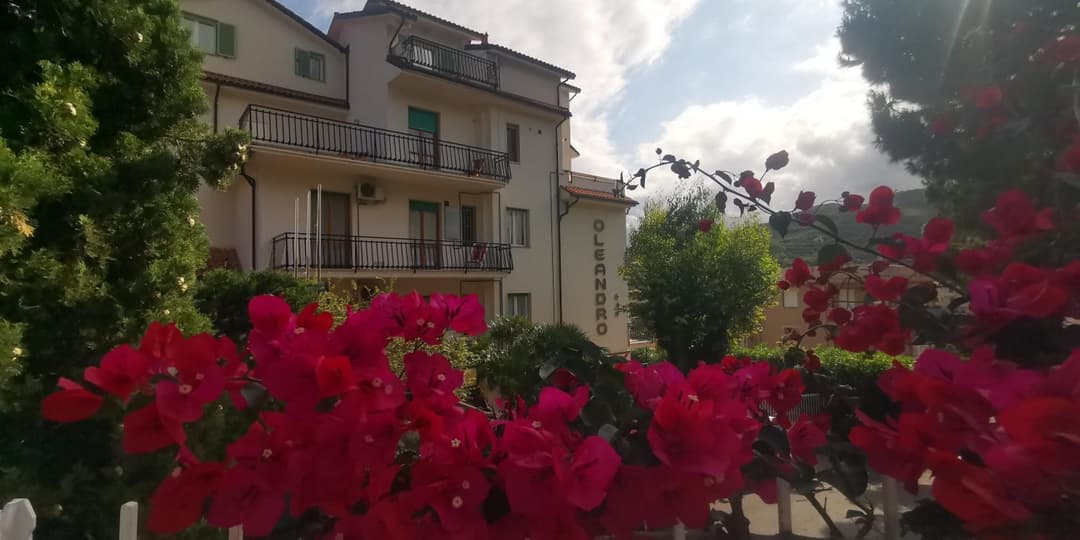 Residence Oleandro — photo 1 of 87
