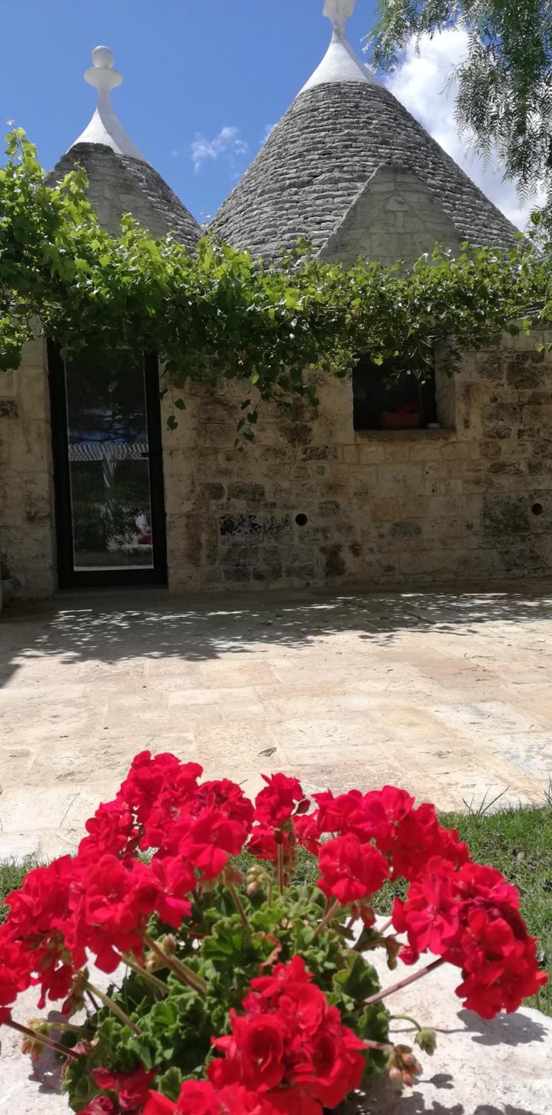 Marinelli Guest House — photo 1 of 1