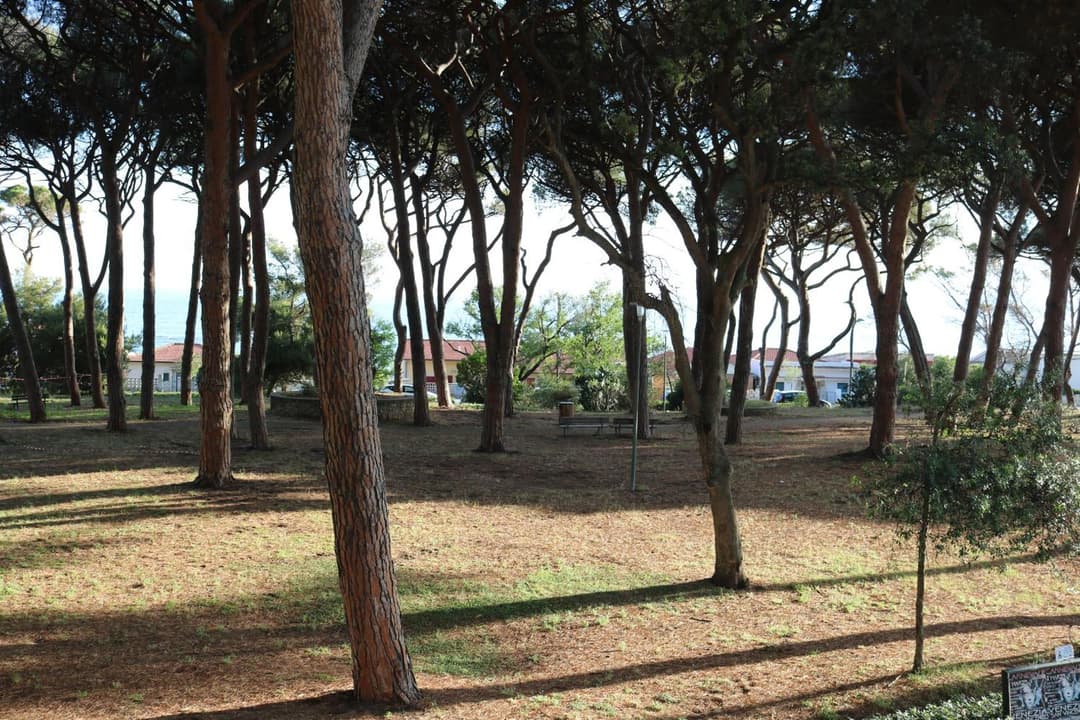Maremma Holidays - Lamarmora Apartment — photo 1 of 1