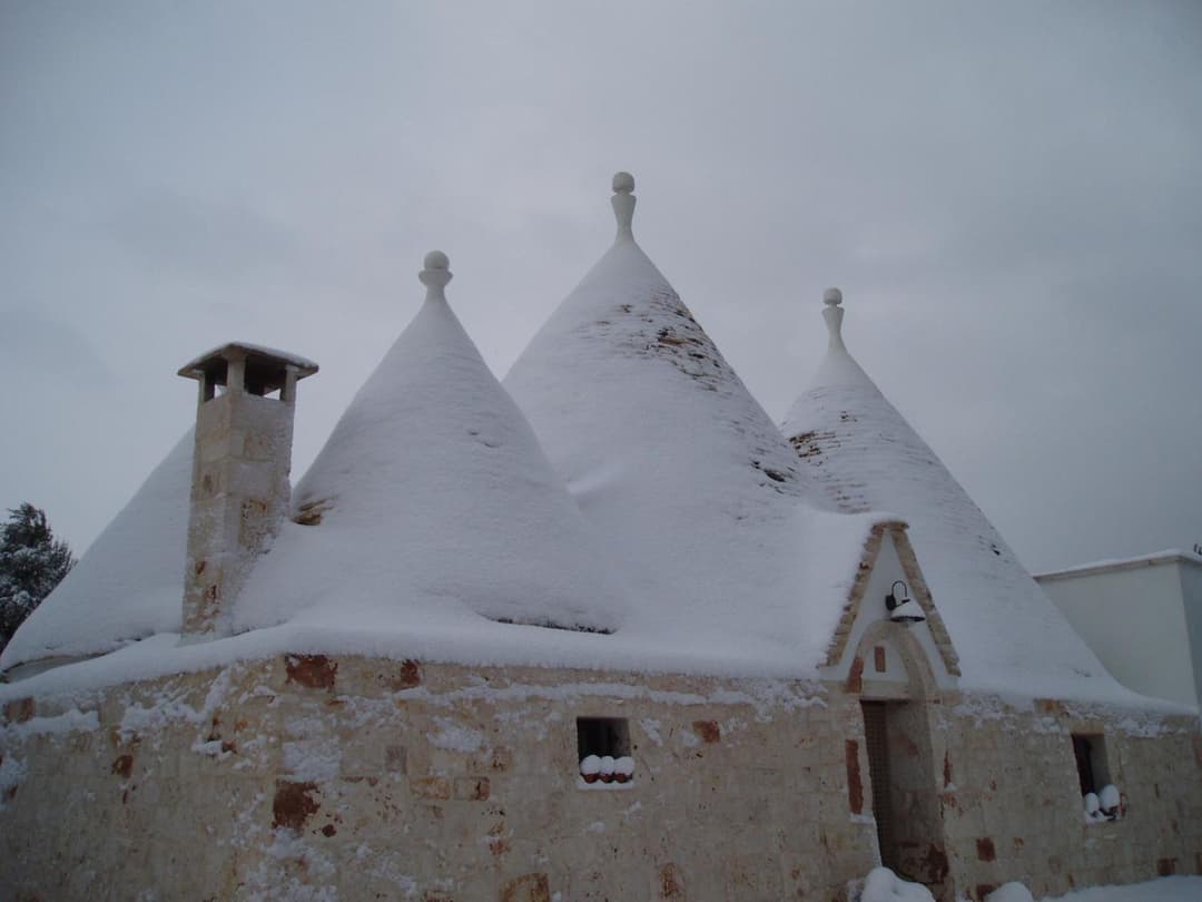 Trulli Foggia dell'Albero — photo 1 of 1