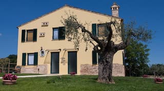 LA TANA DEL CINGHIALE
