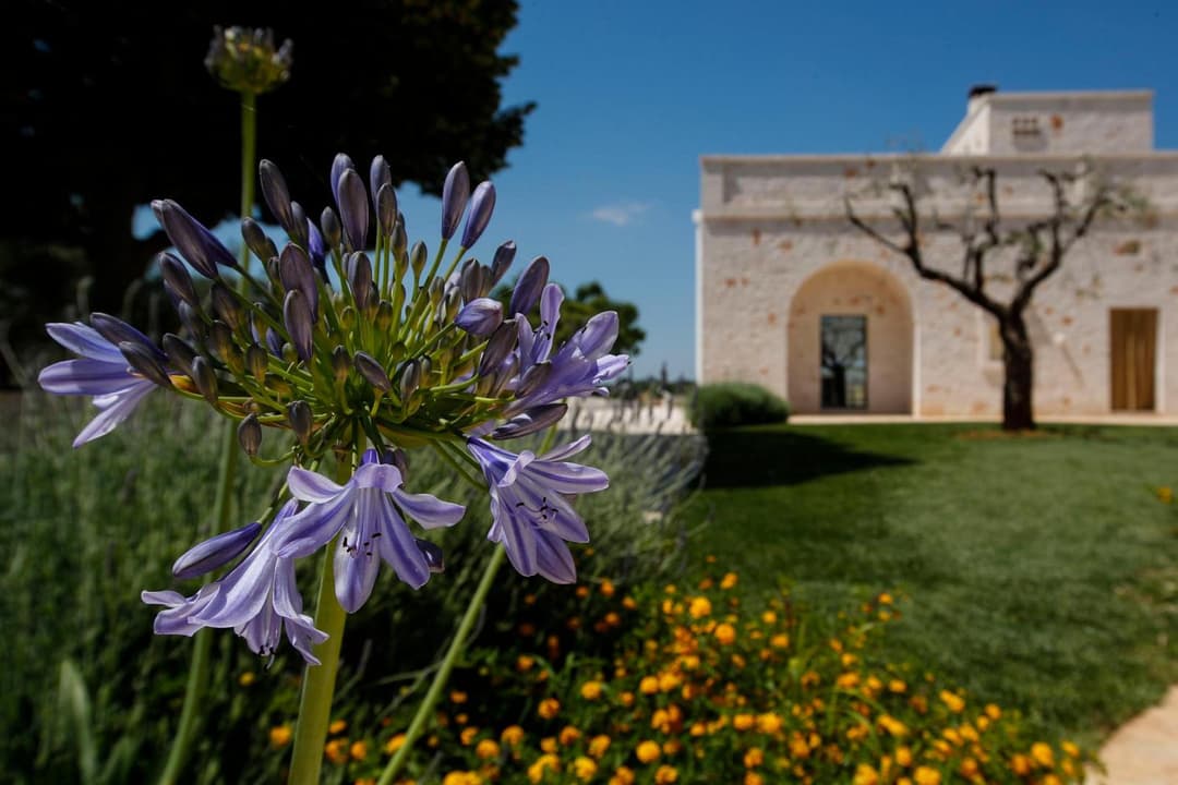 Trulli di Mezza — photo 1 of 1