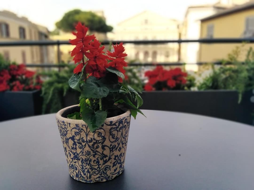 Compasso Suites Guest House — photo 1 of 1
