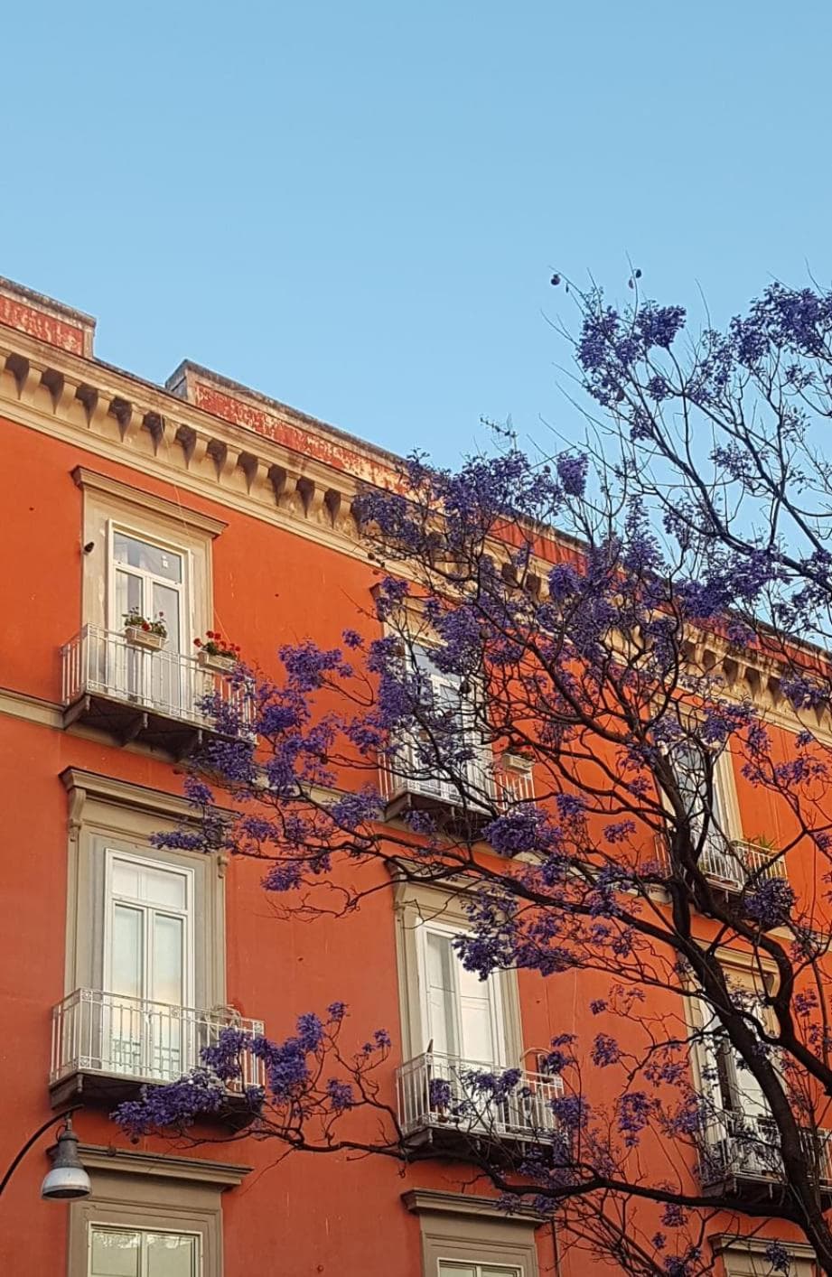 MONART HOSPITALITY Cavour — photo 1 of 1